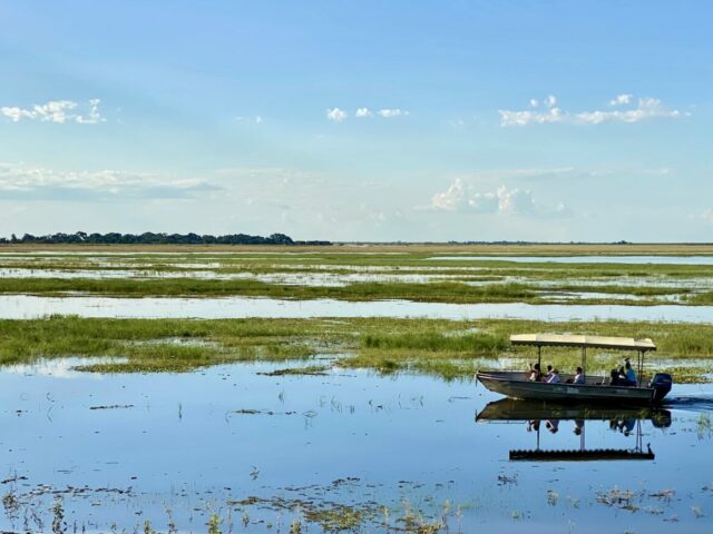 Boot Game drive Afrika Chobe Nationalpark