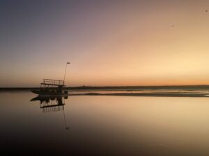 Sunset Game Drive Setari Camp Okavangodelta