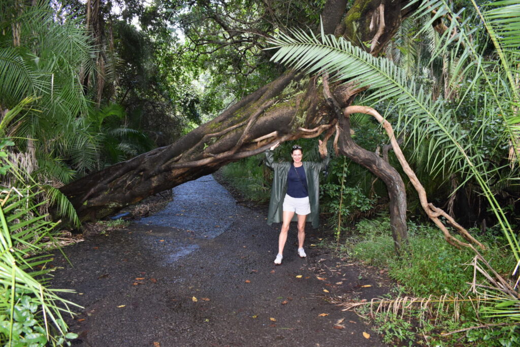 Im Nationalpark der Victoria Falls