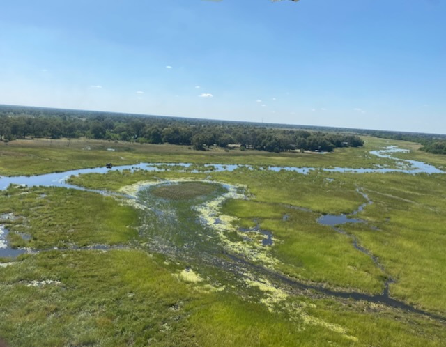 Okavango-Delta Botswana Elefant am Wasser